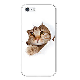 Чехол для iPhone 5/5S матовый с принтом Котик в Курске, Силикон | Область печати: задняя сторона чехла, без боковых панелей | кот | котенок | котик | кошка | милый