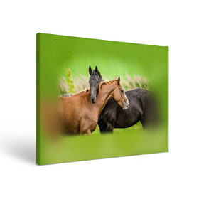 Холст прямоугольный с принтом Лошади 2 в Курске, 100% ПВХ |  | horse | horseshoe | акварель | головалошади | грива | единорог | жеребец | животные | конь | лошадь | лошадьскрыльями | подкова | природа | рисуноккрасками