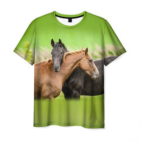 Мужская футболка 3D с принтом Лошади 2 в Курске, 100% полиэфир | прямой крой, круглый вырез горловины, длина до линии бедер | horse | horseshoe | акварель | головалошади | грива | единорог | жеребец | животные | конь | лошадь | лошадьскрыльями | подкова | природа | рисуноккрасками