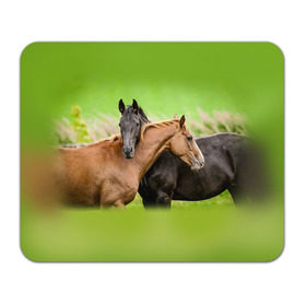 Коврик прямоугольный с принтом Лошади 2 в Курске, натуральный каучук | размер 230 х 185 мм; запечатка лицевой стороны | horse | horseshoe | акварель | головалошади | грива | единорог | жеребец | животные | конь | лошадь | лошадьскрыльями | подкова | природа | рисуноккрасками