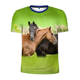 Мужская футболка 3D спортивная с принтом Лошади 2 в Курске, 100% полиэстер с улучшенными характеристиками | приталенный силуэт, круглая горловина, широкие плечи, сужается к линии бедра | horse | horseshoe | акварель | головалошади | грива | единорог | жеребец | животные | конь | лошадь | лошадьскрыльями | подкова | природа | рисуноккрасками