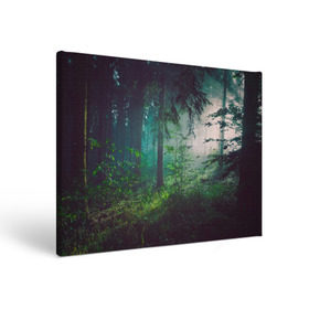 Холст прямоугольный с принтом Таинственный лес в Курске, 100% ПВХ |  | деревья | зелень | на макете изображен таинственный зеленый леслес