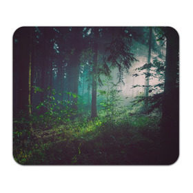 Коврик прямоугольный с принтом Таинственный лес в Курске, натуральный каучук | размер 230 х 185 мм; запечатка лицевой стороны | деревья | зелень | на макете изображен таинственный зеленый леслес