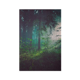 Обложка для паспорта матовая кожа с принтом Таинственный лес в Курске, натуральная матовая кожа | размер 19,3 х 13,7 см; прозрачные пластиковые крепления | деревья | зелень | на макете изображен таинственный зеленый леслес