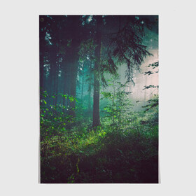 Постер с принтом Таинственный лес в Курске, 100% бумага
 | бумага, плотность 150 мг. Матовая, но за счет высокого коэффициента гладкости имеет небольшой блеск и дает на свету блики, но в отличии от глянцевой бумаги не покрыта лаком | деревья | зелень | на макете изображен таинственный зеленый леслес
