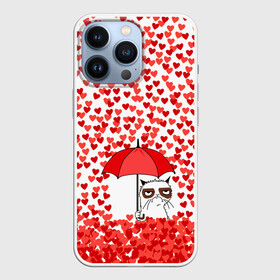 Чехол для iPhone 13 Pro с принтом Сердцепад в Курске,  |  | Тематика изображения на принте: зонтик | кот | сердитый | сердца | сердцепад