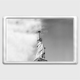 Магнит 45*70 с принтом Статуя Свободы в Курске, Пластик | Размер: 78*52 мм; Размер печати: 70*45 | Тематика изображения на принте: америка | нью йорк | статуя свободы | сша | штаты