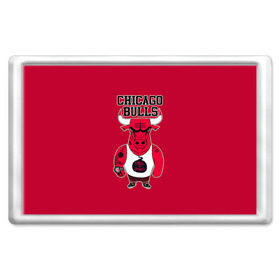 Магнит 45*70 с принтом Chicago bulls в Курске, Пластик | Размер: 78*52 мм; Размер печати: 70*45 | basketball | chicago | chicago bulls | nba | баскет | баскетбол | баскетбольный | булс | нба | спорт | чикаго | чикаго булс