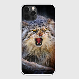 Чехол для iPhone 12 Pro Max с принтом Дикий кот в Курске, Силикон |  | Тематика изображения на принте: дикий | животное | кот | котэ | кошка