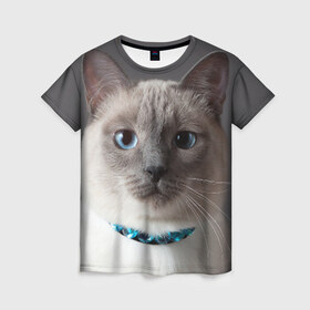 Женская футболка 3D с принтом Кот в Курске, 100% полиэфир ( синтетическое хлопкоподобное полотно) | прямой крой, круглый вырез горловины, длина до линии бедер | домашняя | животное | кот | котэ | кошка