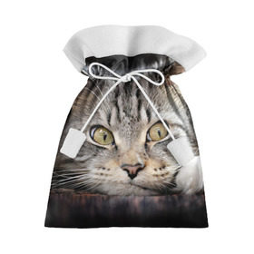 Подарочный 3D мешок с принтом Кот в Курске, 100% полиэстер | Размер: 29*39 см | домашняя | животное | кот | котэ | кошка