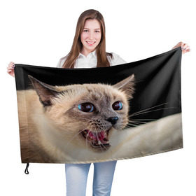 Флаг 3D с принтом Кот в Курске, 100% полиэстер | плотность ткани — 95 г/м2, размер — 67 х 109 см. Принт наносится с одной стороны | домашняя | животное | кот | котэ | кошка