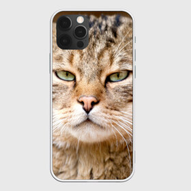 Чехол для iPhone 12 Pro Max с принтом Кот в Курске, Силикон |  | Тематика изображения на принте: дикий | животное | кот | котэ | кошка