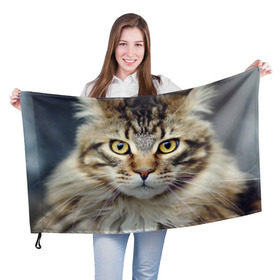 Флаг 3D с принтом Кот в Курске, 100% полиэстер | плотность ткани — 95 г/м2, размер — 67 х 109 см. Принт наносится с одной стороны | домашняя | животное | кот | котэ | кошка