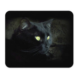Коврик прямоугольный с принтом Черный в Курске, натуральный каучук | размер 230 х 185 мм; запечатка лицевой стороны | домашняя | животное | кот | котэ | кошка | черный