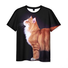 Мужская футболка 3D с принтом Рыжий кот в Курске, 100% полиэфир | прямой крой, круглый вырез горловины, длина до линии бедер | домашняя | животное | кот | котэ | кошка | рыжая