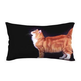 Подушка 3D антистресс с принтом Рыжий кот в Курске, наволочка — 100% полиэстер, наполнитель — вспененный полистирол | состоит из подушки и наволочки на молнии | Тематика изображения на принте: домашняя | животное | кот | котэ | кошка | рыжая