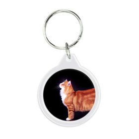 Брелок круглый с принтом Рыжий кот в Курске, пластик и полированная сталь | круглая форма, металлическое крепление в виде кольца | Тематика изображения на принте: домашняя | животное | кот | котэ | кошка | рыжая