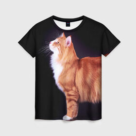 Женская футболка 3D с принтом Рыжий кот в Курске, 100% полиэфир ( синтетическое хлопкоподобное полотно) | прямой крой, круглый вырез горловины, длина до линии бедер | домашняя | животное | кот | котэ | кошка | рыжая