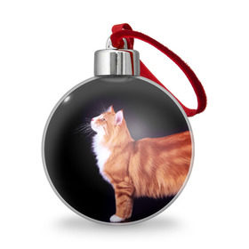Ёлочный шар с принтом Рыжий кот в Курске, Пластик | Диаметр: 77 мм | Тематика изображения на принте: домашняя | животное | кот | котэ | кошка | рыжая
