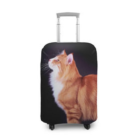 Чехол для чемодана 3D с принтом Рыжий кот в Курске, 86% полиэфир, 14% спандекс | двустороннее нанесение принта, прорези для ручек и колес | домашняя | животное | кот | котэ | кошка | рыжая