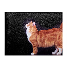 Обложка для студенческого билета с принтом Рыжий кот в Курске, натуральная кожа | Размер: 11*8 см; Печать на всей внешней стороне | Тематика изображения на принте: домашняя | животное | кот | котэ | кошка | рыжая