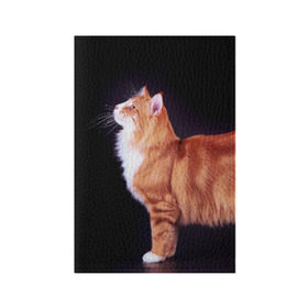 Обложка для паспорта матовая кожа с принтом Рыжий кот в Курске, натуральная матовая кожа | размер 19,3 х 13,7 см; прозрачные пластиковые крепления | домашняя | животное | кот | котэ | кошка | рыжая