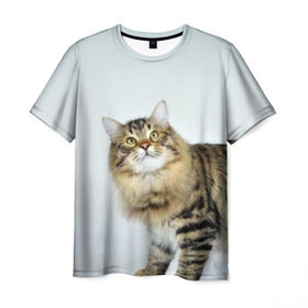 Мужская футболка 3D с принтом Кот в Курске, 100% полиэфир | прямой крой, круглый вырез горловины, длина до линии бедер | домашняя | животное | кот | котэ | кошка