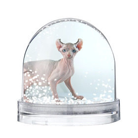 Снежный шар с принтом Сфинкс в Курске, Пластик | Изображение внутри шара печатается на глянцевой фотобумаге с двух сторон | домашняя | животное | кот | котэ | кошка | сфинкс