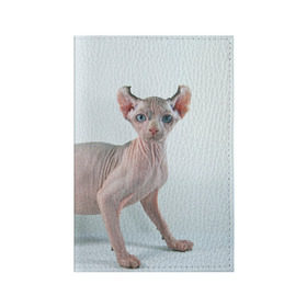 Обложка для паспорта матовая кожа с принтом Сфинкс в Курске, натуральная матовая кожа | размер 19,3 х 13,7 см; прозрачные пластиковые крепления | домашняя | животное | кот | котэ | кошка | сфинкс
