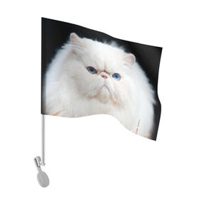 Флаг для автомобиля с принтом Персидский кот в Курске, 100% полиэстер | Размер: 30*21 см | домашняя | животное | кот | котэ | кошка | персидский