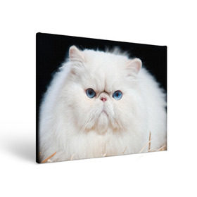 Холст прямоугольный с принтом Персидский кот в Курске, 100% ПВХ |  | Тематика изображения на принте: домашняя | животное | кот | котэ | кошка | персидский