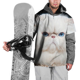 Накидка на куртку 3D с принтом Персидский кот в Курске, 100% полиэстер |  | Тематика изображения на принте: домашняя | животное | кот | котэ | кошка | персидский