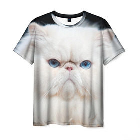 Мужская футболка 3D с принтом Персидский кот в Курске, 100% полиэфир | прямой крой, круглый вырез горловины, длина до линии бедер | Тематика изображения на принте: домашняя | животное | кот | котэ | кошка | персидский