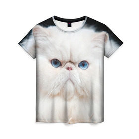 Женская футболка 3D с принтом Персидский кот в Курске, 100% полиэфир ( синтетическое хлопкоподобное полотно) | прямой крой, круглый вырез горловины, длина до линии бедер | домашняя | животное | кот | котэ | кошка | персидский
