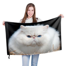Флаг 3D с принтом Персидский кот в Курске, 100% полиэстер | плотность ткани — 95 г/м2, размер — 67 х 109 см. Принт наносится с одной стороны | домашняя | животное | кот | котэ | кошка | персидский