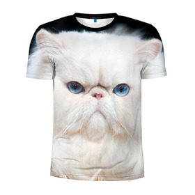 Мужская футболка 3D спортивная с принтом Персидский кот в Курске, 100% полиэстер с улучшенными характеристиками | приталенный силуэт, круглая горловина, широкие плечи, сужается к линии бедра | Тематика изображения на принте: домашняя | животное | кот | котэ | кошка | персидский