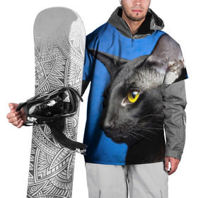 Накидка на куртку 3D с принтом Черный кот в Курске, 100% полиэстер |  | Тематика изображения на принте: домашняя | животное | кот | котэ | кошка | черный