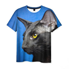 Мужская футболка 3D с принтом Черный кот в Курске, 100% полиэфир | прямой крой, круглый вырез горловины, длина до линии бедер | домашняя | животное | кот | котэ | кошка | черный