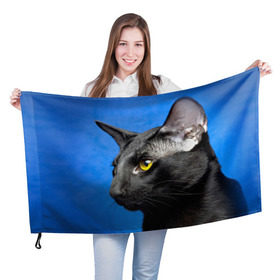 Флаг 3D с принтом Черный кот в Курске, 100% полиэстер | плотность ткани — 95 г/м2, размер — 67 х 109 см. Принт наносится с одной стороны | домашняя | животное | кот | котэ | кошка | черный