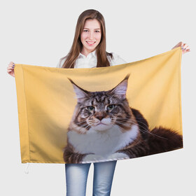 Флаг 3D с принтом Байкун в Курске, 100% полиэстер | плотность ткани — 95 г/м2, размер — 67 х 109 см. Принт наносится с одной стороны | байкун | домашняя | животное | кот | котэ | кошка