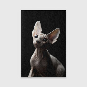 Обложка для паспорта матовая кожа с принтом Сфинкс в Курске, натуральная матовая кожа | размер 19,3 х 13,7 см; прозрачные пластиковые крепления | домашняя | животное | кот | котэ | кошка | сфинкс