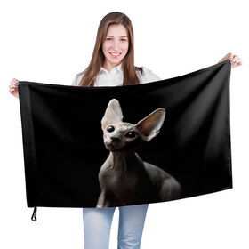 Флаг 3D с принтом Сфинкс в Курске, 100% полиэстер | плотность ткани — 95 г/м2, размер — 67 х 109 см. Принт наносится с одной стороны | домашняя | животное | кот | котэ | кошка | сфинкс