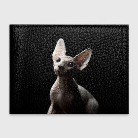 Обложка для студенческого билета с принтом Сфинкс в Курске, натуральная кожа | Размер: 11*8 см; Печать на всей внешней стороне | домашняя | животное | кот | котэ | кошка | сфинкс