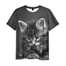 Мужская футболка 3D с принтом Котенок в Курске, 100% полиэфир | прямой крой, круглый вырез горловины, длина до линии бедер | домашняя | животное | кот | котэ | кошка