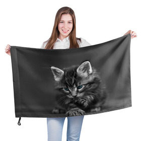 Флаг 3D с принтом Котенок в Курске, 100% полиэстер | плотность ткани — 95 г/м2, размер — 67 х 109 см. Принт наносится с одной стороны | домашняя | животное | кот | котэ | кошка