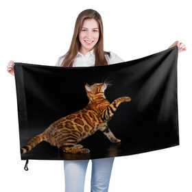 Флаг 3D с принтом Бенгальская кошка в Курске, 100% полиэстер | плотность ткани — 95 г/м2, размер — 67 х 109 см. Принт наносится с одной стороны | бенгальская | домашняя | животное | кот | котэ | кошка