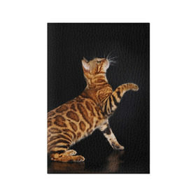 Обложка для паспорта матовая кожа с принтом Бенгальская кошка в Курске, натуральная матовая кожа | размер 19,3 х 13,7 см; прозрачные пластиковые крепления | бенгальская | домашняя | животное | кот | котэ | кошка
