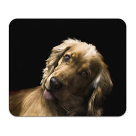 Коврик прямоугольный с принтом Английский кокер-спаниель в Курске, натуральный каучук | размер 230 х 185 мм; запечатка лицевой стороны | английский кокер спаниель | животно | порода | собака