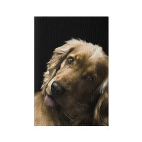 Обложка для паспорта матовая кожа с принтом Английский кокер-спаниель в Курске, натуральная матовая кожа | размер 19,3 х 13,7 см; прозрачные пластиковые крепления | английский кокер спаниель | животно | порода | собака